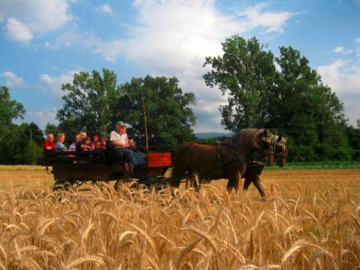 Ferienwohnungen Maierhof Oberried Oberried  Esterno foto