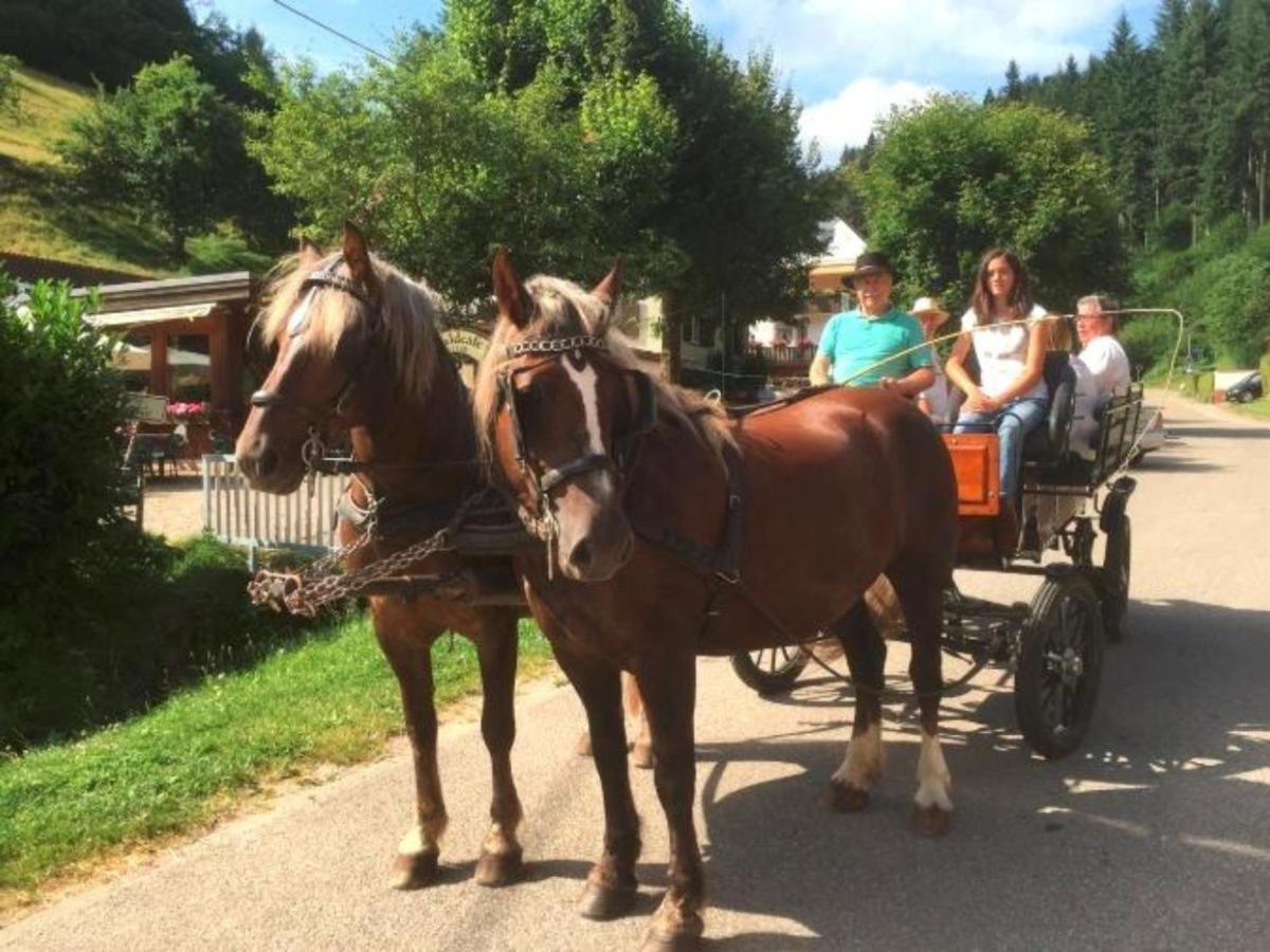 Ferienwohnungen Maierhof Oberried Oberried  Esterno foto