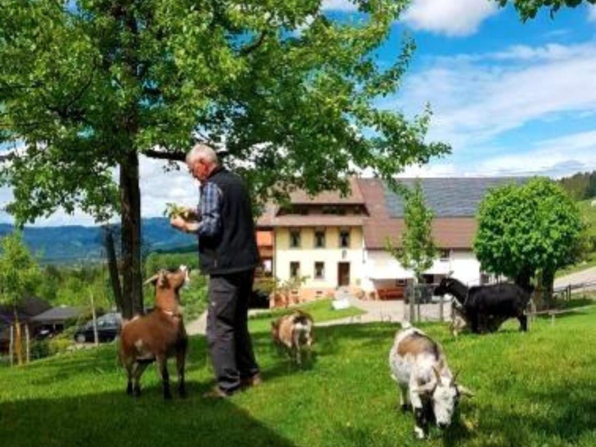 Ferienwohnungen Maierhof Oberried Oberried  Esterno foto