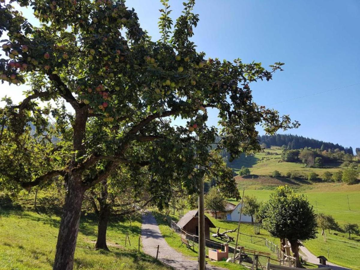 Ferienwohnungen Maierhof Oberried Oberried  Esterno foto