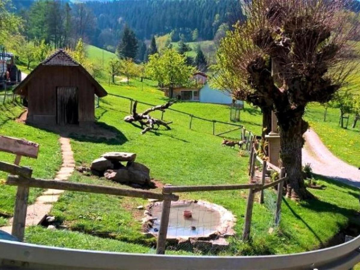 Ferienwohnungen Maierhof Oberried Oberried  Esterno foto