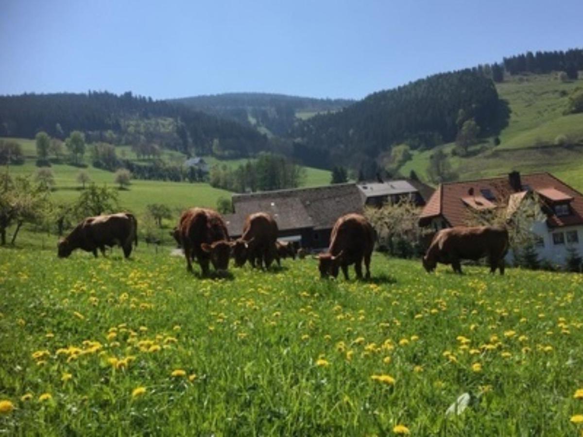 Ferienwohnungen Maierhof Oberried Oberried  Esterno foto